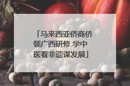 马来西亚侨商侨领广西研修 学中医看非遗谋发展