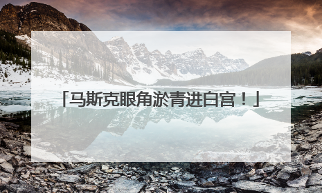 马斯克眼角淤青进白宫！
