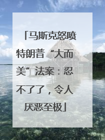 马斯克怒喷特朗普“大而美”法案：忍不了了，令人厌恶至极