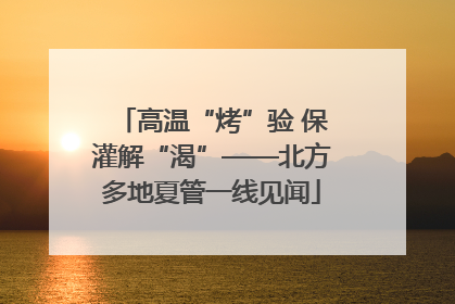 高温“烤”验 保灌解“渴”——北方多地夏管一线见闻