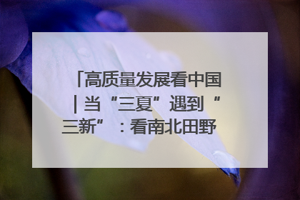 高质量发展看中国｜当“三夏”遇到“三新”：看南北田野里的科技共生记