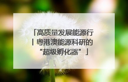 高质量发展能源行丨粤港澳能源科研的“超级孵化器”