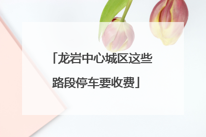 龙岩中心城区这些路段停车要收费