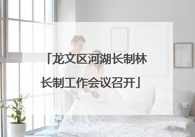 龙文区河湖长制林长制工作会议召开