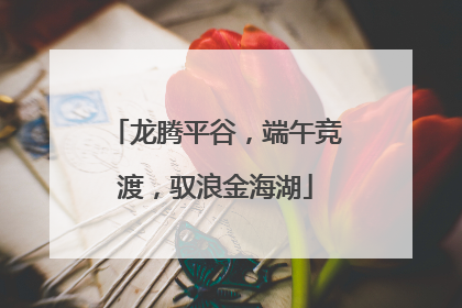龙腾平谷，端午竞渡，驭浪金海湖