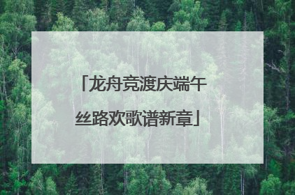 龙舟竞渡庆端午 丝路欢歌谱新章