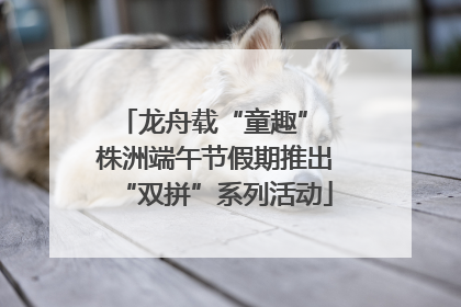 龙舟载“童趣” 株洲端午节假期推出“双拼”系列活动