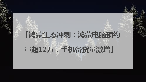 鸿蒙生态冲刺：鸿蒙电脑预约量超12万，手机备货量激增