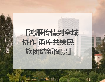 鸿雁传情到全域协作 甬库共绘民族团结新图景