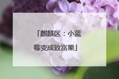 麒麟区：小蓝莓变成致富果