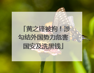 黄之锋被拘！涉勾结外国势力危害国安及洗黑钱