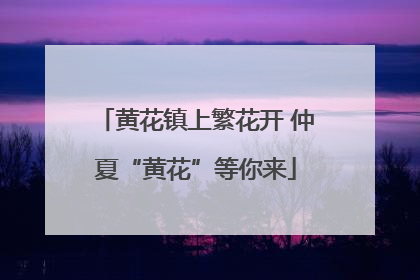 黄花镇上繁花开 仲夏“黄花”等你来