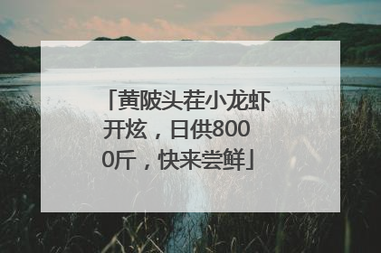 黄陂头茬小龙虾开炫，日供8000斤，快来尝鲜