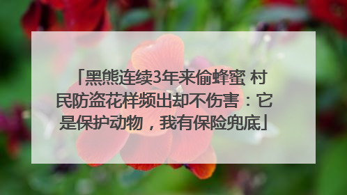 黑熊连续3年来偷蜂蜜 村民防盗花样频出却不伤害：它是保护动物，我有保险兜底