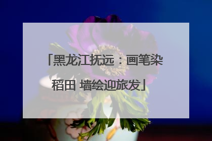 黑龙江抚远：画笔染稻田 墙绘迎旅发