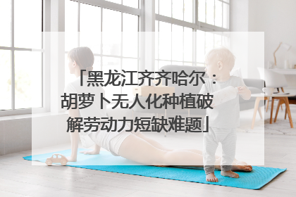 黑龙江齐齐哈尔：胡萝卜无人化种植破解劳动力短缺难题