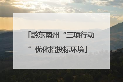 黔东南州“三项行动”优化招投标环境