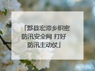 黟县宏潭乡织密防汛安全网 打好防汛主动仗