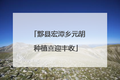黟县宏潭乡元胡种植喜迎丰收