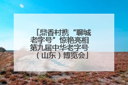 鼎香村携“聊城老字号”惊艳亮相第九届中华老字号（山东）博览会
