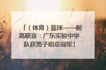（体育）篮球——耐高联赛：广东实验中学队获男子组总冠军