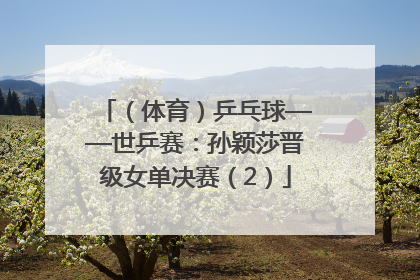 （体育）乒乓球——世乒赛：孙颖莎晋级女单决赛（2）