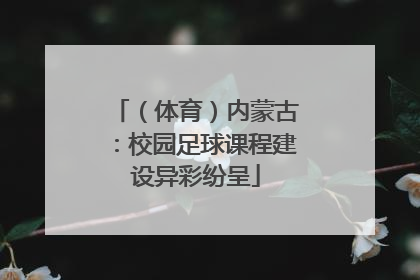 （体育）内蒙古：校园足球课程建设异彩纷呈