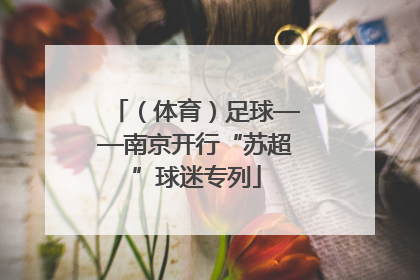 （体育）足球——南京开行“苏超”球迷专列