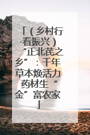 （乡村行·看振兴）“正北芪之乡”：千年草本焕活力 药材生“金”富农家