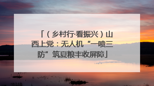 （乡村行·看振兴）山西上党：无人机“一喷三防”筑夏粮丰收屏障