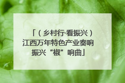（乡村行·看振兴）江西万年特色产业奏响振兴“椒”响曲