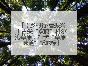 （乡村行·看振兴）舌尖“欢腾”科尔沁草原：打卡“草原味道”新地标
