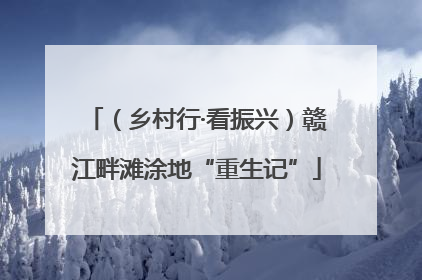 （乡村行·看振兴）赣江畔滩涂地“重生记”