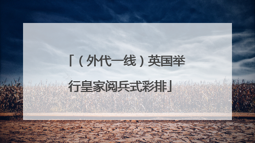 （外代一线）英国举行皇家阅兵式彩排
