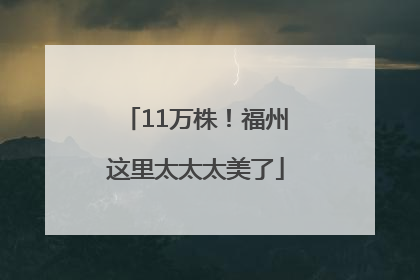 11万株！福州这里太太太美了