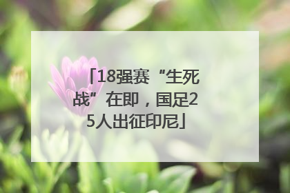 18强赛“生死战”在即，国足25人出征印尼