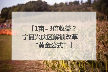 1亩=3倍收益？宁夏兴庆区解锁改革“黄金公式”