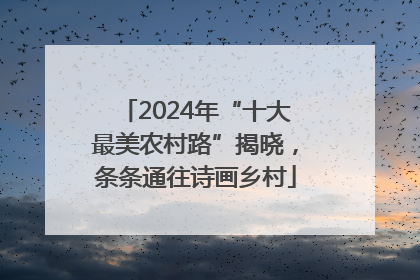 2024年“十大最美农村路”揭晓，条条通往诗画乡村