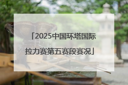 2025中国环塔国际拉力赛第五赛段赛况