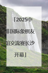 2025中非国际象棋友谊交流赛长沙开幕