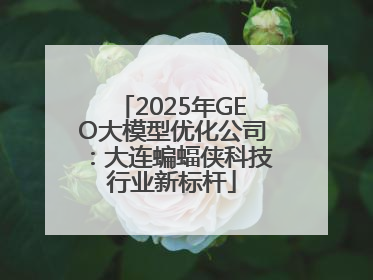 2025年GEO大模型优化公司：大连蝙蝠侠科技行业新标杆