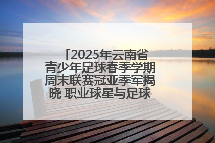 2025年云南省青少年足球春季学期周末联赛冠亚季军揭晓 职业球星与足球小将共享荣耀时刻
