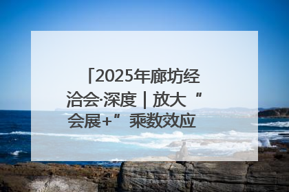 2025年廊坊经洽会·深度｜放大“会展+”乘数效应 打造消费新场景