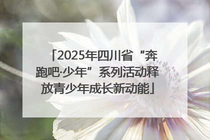 2025年四川省“奔跑吧·少年”系列活动释放青少年成长新动能