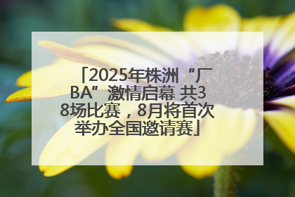 2025年株洲“厂BA”激情启幕 共38场比赛，8月将首次举办全国邀请赛