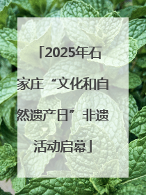 2025年石家庄“文化和自然遗产日”非遗活动启幕