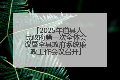 2025年道县人民政府第一次全体会议暨全县政府系统廉政工作会议召开