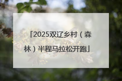 2025双辽乡村（森林）半程马拉松开跑