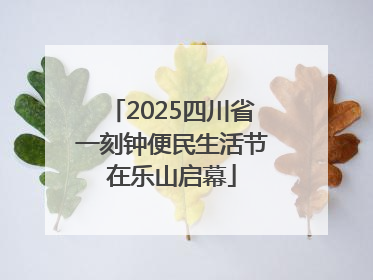 2025四川省一刻钟便民生活节在乐山启幕
