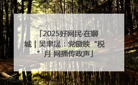 2025好网民·在聊城｜吴聿晟：党徽映“税”月 网播传政声
